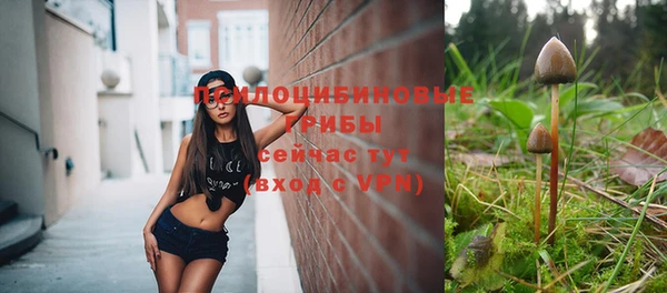 каннабис Каменка