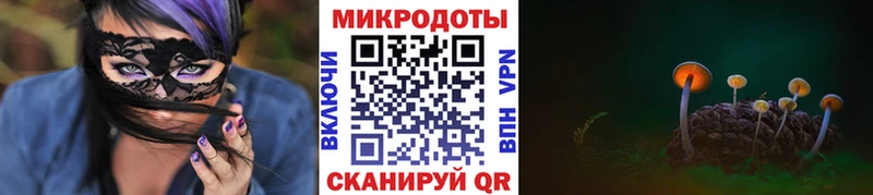 ссылка на мегу маркетплейс  даркнет сайт  Каменск-Уральский  Галлюциногенные грибы мухоморы 